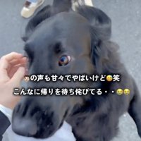 本気で嬉しい目です