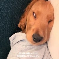 目も縦に伸ばされた！？