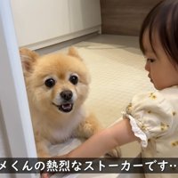 愛を受け止めてくれるポメくん