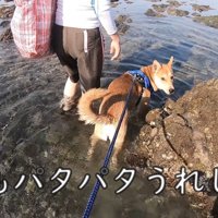 楽しいみたいです♪