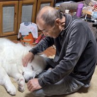 頭を撫でてもらう犬