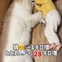 成長曲線違いすぎる…！！
