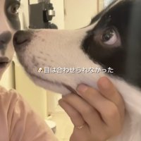 サッと目をそらすサンゴさん
