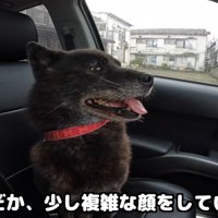 お別れは辛いけれど、会えてよかったね！