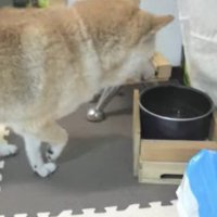 上手く歩けなくなっても…