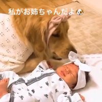 くららちゃんと赤ちゃん4