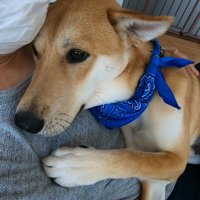 だんだん柔らかい表情に♪