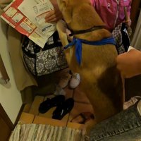 飛びついて熱烈歓迎♡