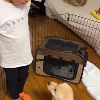 見つめ合うふたり