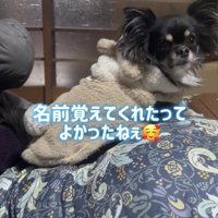 ママの言葉を聞いてます