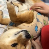 再びゴロ～ン