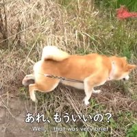 意外と冷めるのが早い（笑）