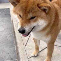 「早くない？」