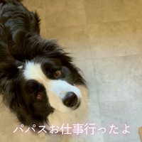「パパお仕事行ったよ」と伝えたら…
