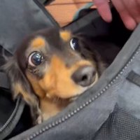 状況を把握