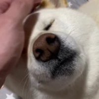 満足そうな表情♡