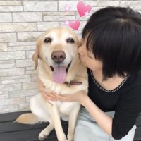 人に抱きしめられる犬