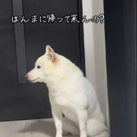場所を変えて…