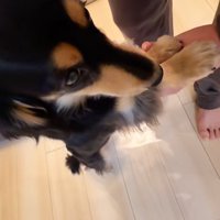 紬ちゃんのおねだり6