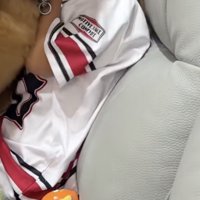 距離感がバグったワンコの行動とは…？