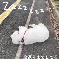 寝返りまでするムーちゃん
