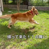 ララちゃんの熱烈歓迎6