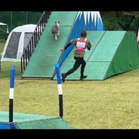 障害物をクリアするみかづきちゃん