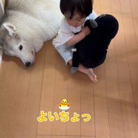 犬の隣に腰を下ろす男の子