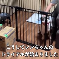 トライアルが始まった