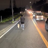 必死に追いかける投稿主さん