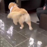 「本当にみんなありがとう！！」