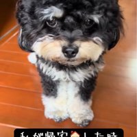 ママさんをお出迎え