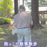 境内をゆっくり散策