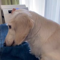 今は安心して暮らせているそう