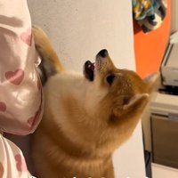 今度はベッドを叩いて抗議