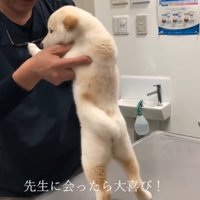 先生に会えて嬉しそう♪
