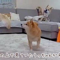 うにくんが並んでる…！！