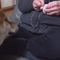 「もうすぐだよ」