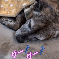 ポカポカで心地いいね