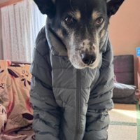 あからさまに嫌な顔に！