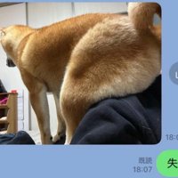 失礼なふうたくん