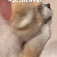 見えなくても絆は変わらない