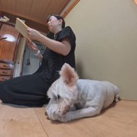 飽きてきてお手々をペロペロ