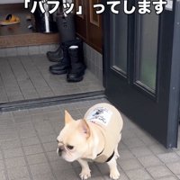 鼻息で不満を表現