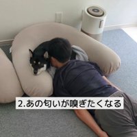 ニオイを嗅ぎたくなることも…