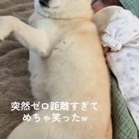 投稿者さんを見るカナちゃん