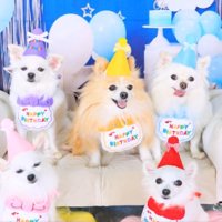 お誕生日