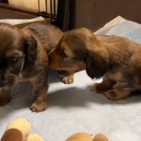 おもちゃを取られていじけるジャンボくん5