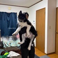 お迎え当時とは別犬のよう…！