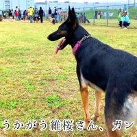 「よし、ちょっと遠くまで行ってみよう」